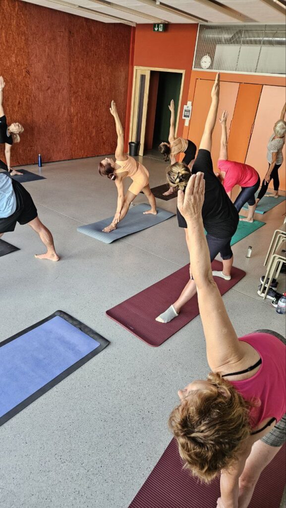 5384467909516065018 Maison de Quartier Jaman 8